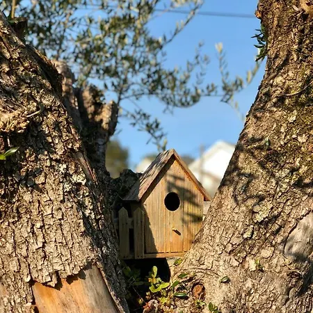 Quarto em Acomodações Particulares Azenha Do Tio Luís