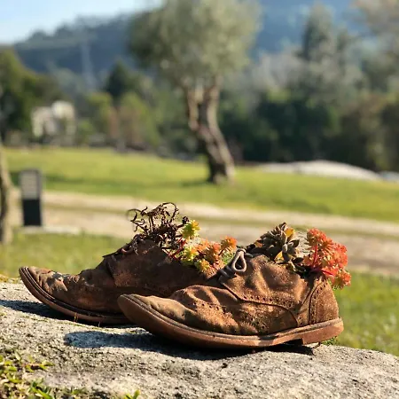 Quarto em Acomodações Particulares Azenha Do Tio Luís Caminha