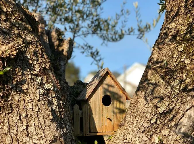 Quarto em Acomodações Particulares Azenha Do Tio Luís