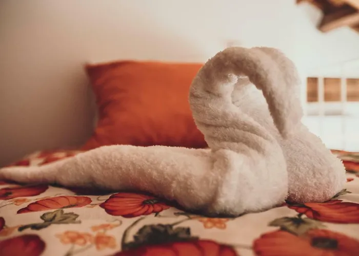 Azenha Do Tio Luís Caminha